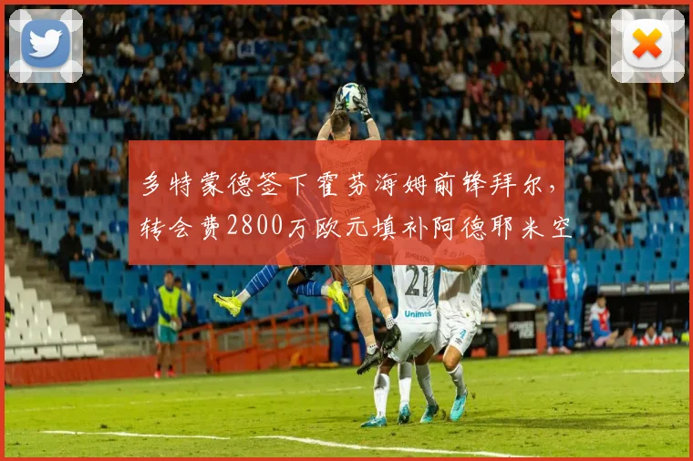 多特蒙德签下霍芬海姆前锋拜尔，转会费2800万欧元填补阿德耶米空缺
